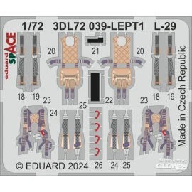 L-29 SPACE
