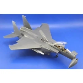 Exterior von McDonnell Douglas F-15E Strike Eagle (für Bausätze von Tamiya)